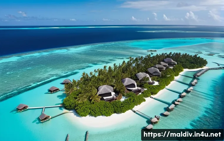 몰디브 어업 산업 - **Maldivian Luxury Resort Scene:** An aerial shot showcasing a breathtaking Maldives resort with ele...